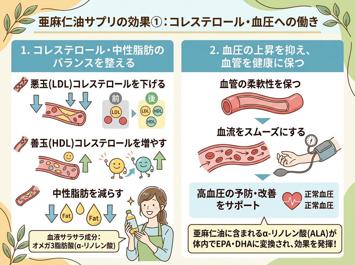 亜麻仁油サプリの効果①:コレステロール・血圧への働き