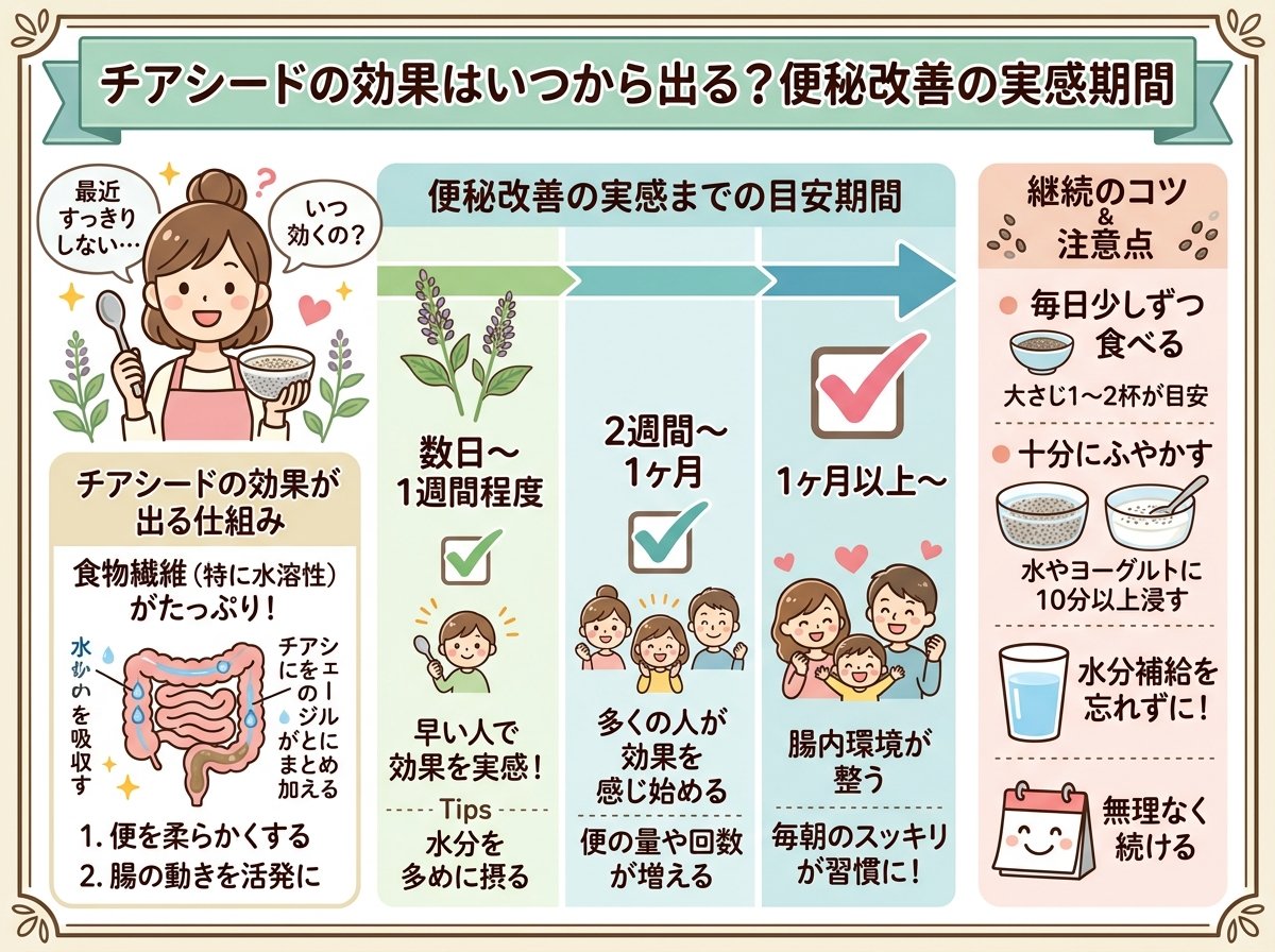 チアシードの効果はいつから出る?便秘改善の実感期間