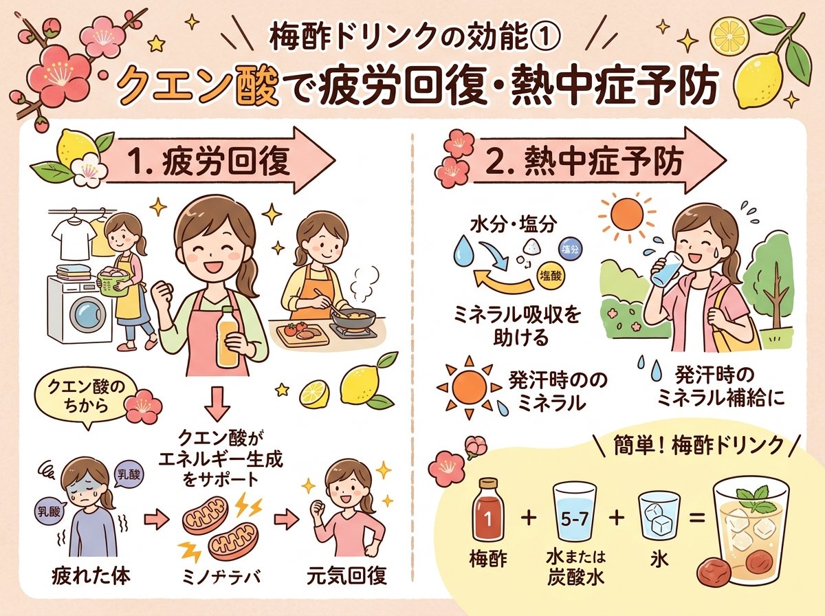 梅酢ドリンクの効能①クエン酸で疲労回復・熱中症予防